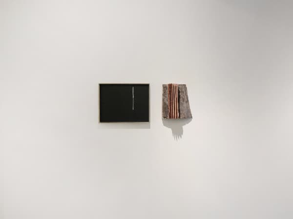 나점수_식물적 사유 deliberation originated from the plants_wood, oilstick on canvas_2017 드로잉:24x42x2.8cm(좌) 조각:26.5x28.5x18cm (우)