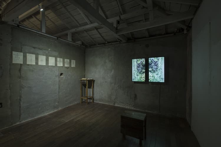 2017 풀 프로덕션《조은지 개인전: 열, 풍》 전시컷 Photo by 홍철기 ⓒ아트 스페이스 풀