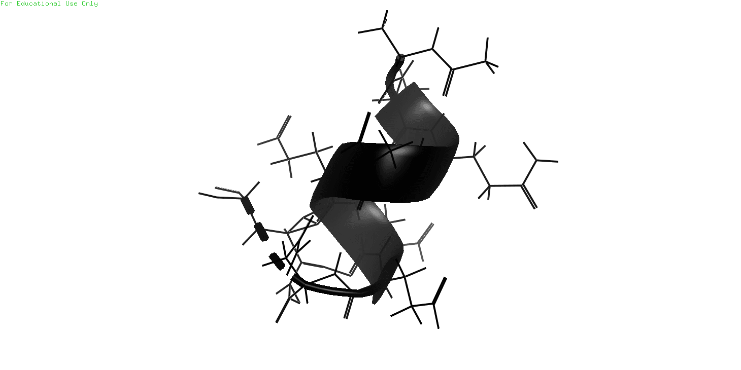 W&D molecular structure