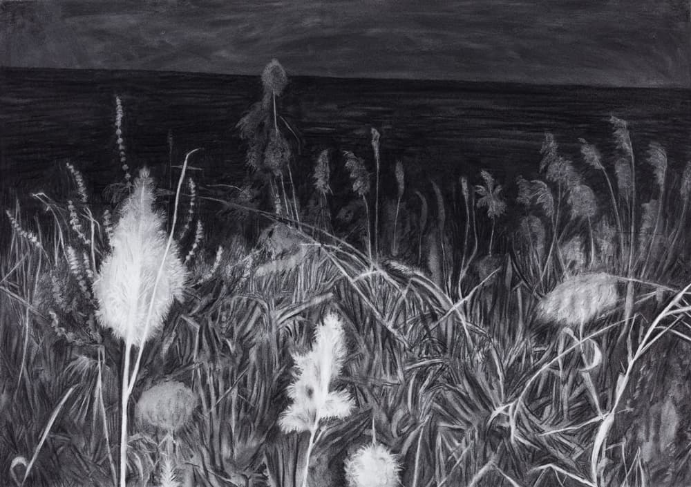 김제민, 무심한 풍경_종이에 목탄_75x105.5cm_2016