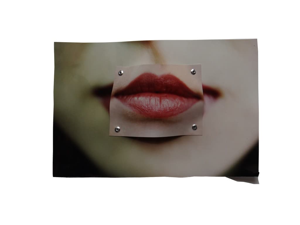 성형_16x21x3cm_사진,알루미늄,아크릴_2015