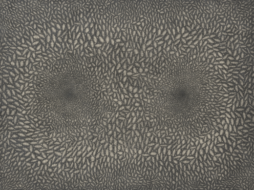 Streodium , 장지에 연필 , 160x120cm , 2015