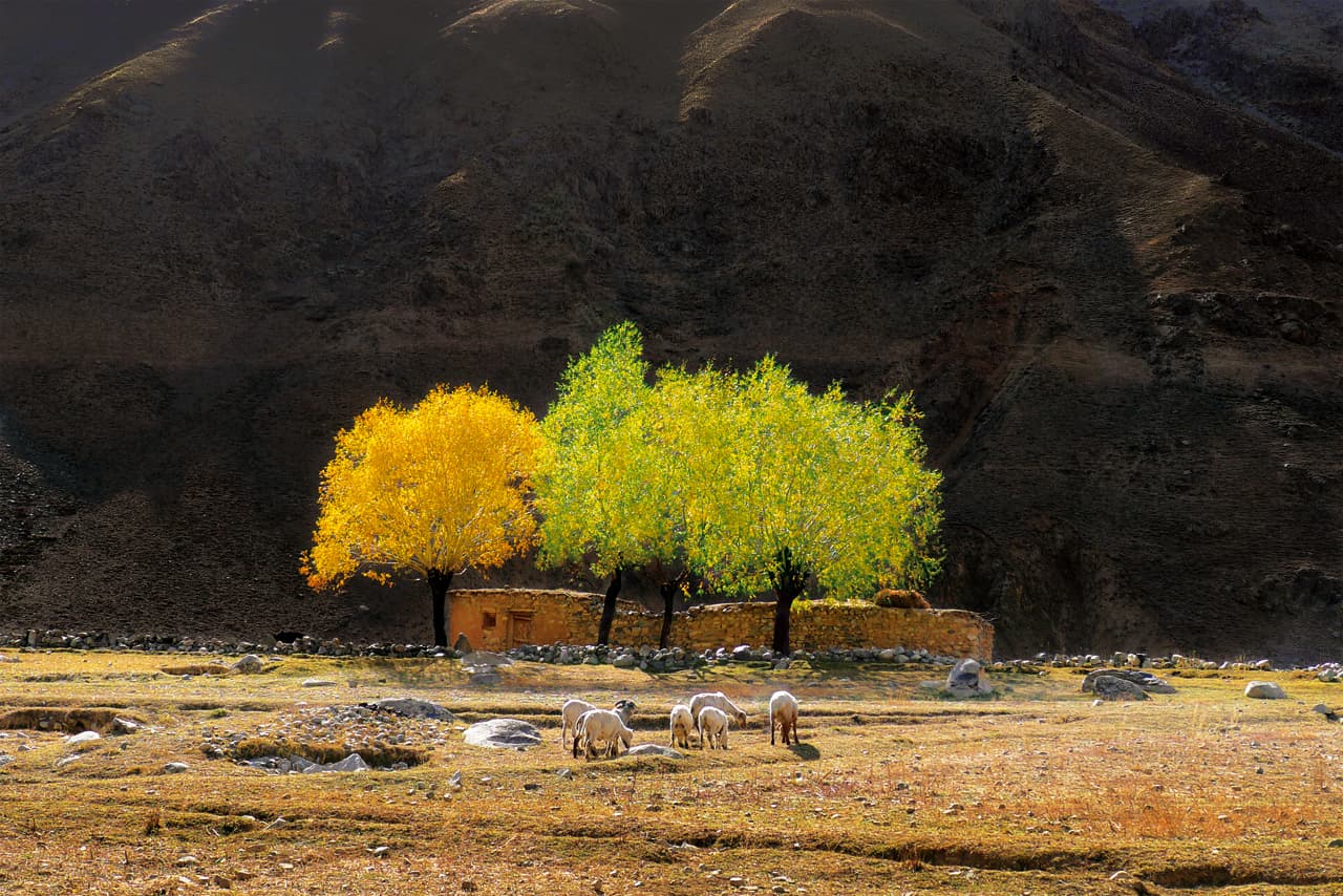 내가 살고 싶은 집 Barsat Village, Gaguch, Pakistan, 2011 ⓒ박노해