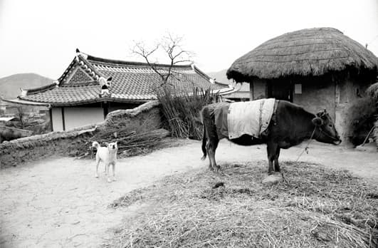 사진가 김종수 40주년 회고전 : 토지 2