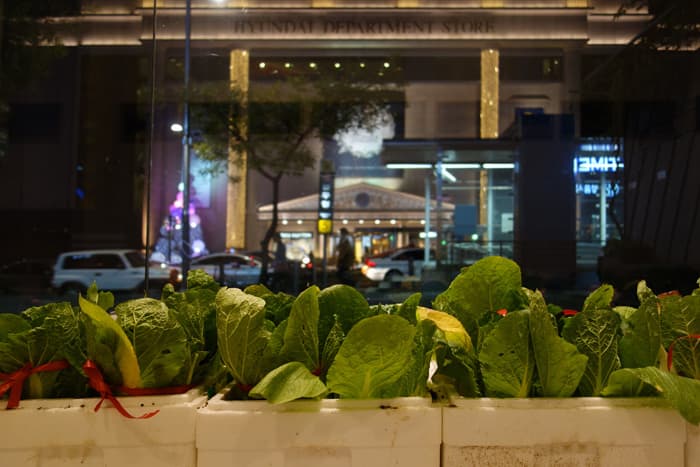 Installation View of Local Arrangements, Klega Solo Exhibition, Corner Art Space