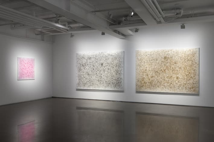 이강욱 개인전 PARADOXICAL SPACE : THE NEW WORLD 2