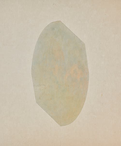 윤지현, Molt 2 장지에 채색 60.6x50cm 2018 [출처] ‘시선의 자취’ 2019년 상반기 갤러리 도스 본관 기획공모_윤지현 ‘Things always been there’ 展|작성자 갤러리 도스