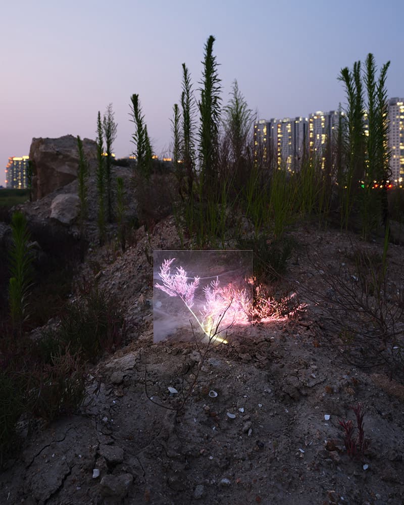 Overlayer #03, 2020, Pigment Print, 104 x 130cm