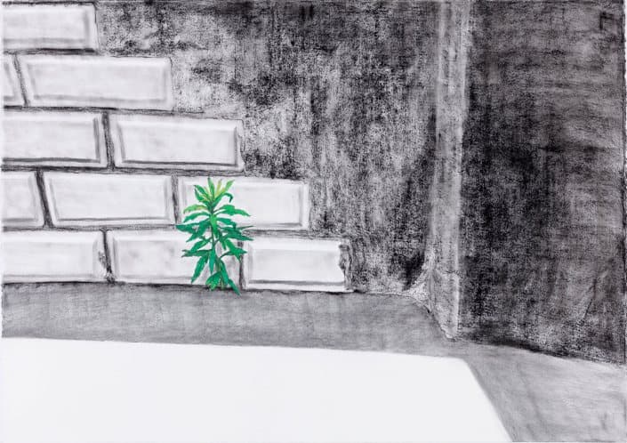 김제민, 무심한 풍경_종이에 목탄, 수채_75x105.5cm_2016