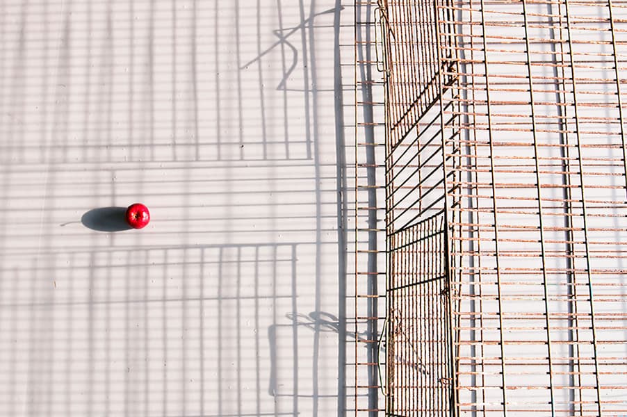 김시하, 무제, c-print 534x33cm, 2017