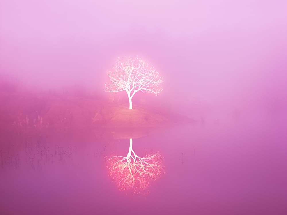 이정록, Tree of Life 1-3-1, C-Type Print, 120x160cm, 2018