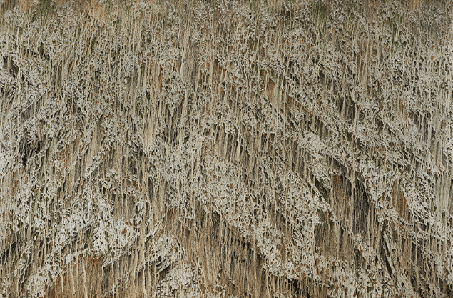채성필, 대지의 몽상(120830), 137x198cm, 수묵채색, 2016