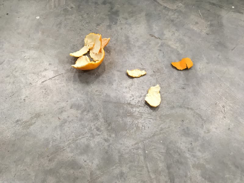 란티엔 시에, 〈Orange peels, passerby, perfume cloud, cat meme〉, 2019, 해프닝, 퍼포먼스, 언어행위, 이미지, 종이에 잉크