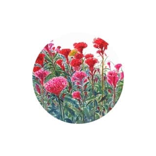 김태헌_맨드라미_30x32cm_종이에수채_2017