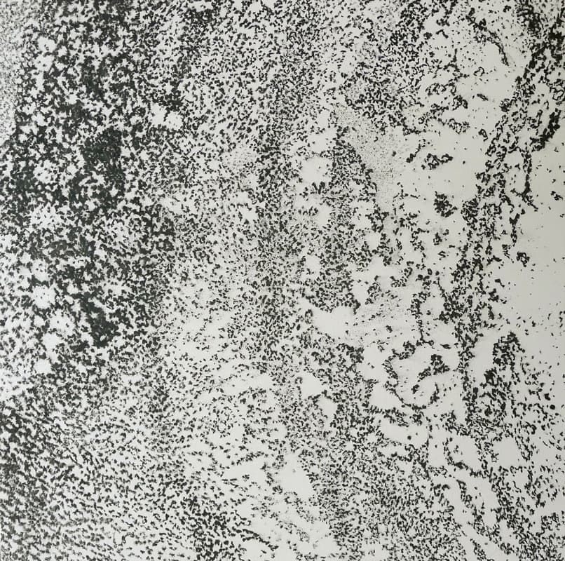 이영호, 감춰진 것을 드러내는(Interpèrte),  112.3X112cm, 장지위에 석채, 목탄, 먹, 2018