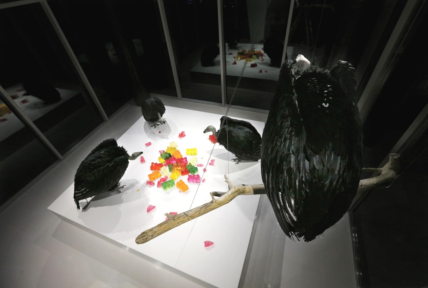 Feeding Sites / Resin, Expanded Polystyrene, Feather, Sculpey, Gel wax, Wood / Variable Installation / 2018