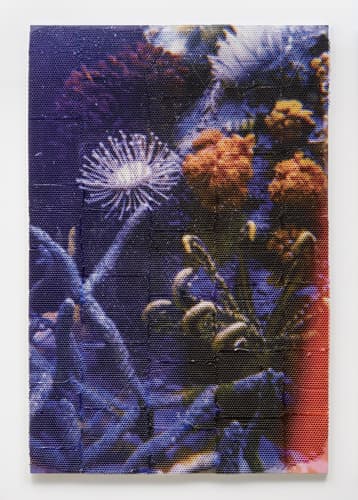 Natural History, 2019 gesso, polyester resin, UV-cured inkjet print on canvas over dibond panel, 203 x 135 cm