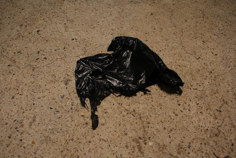 송수영, Plastic Landscape - Crow, A plastic bag, 60x60x20cm, 2017