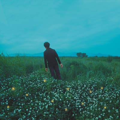 사타, Pulsar-Clover NS 29-17, photography, mixed media, 40x40cm