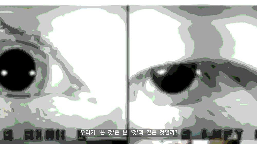 <White shadow>, polaroid film, magnifying glass, glasses, 2 channel video, installation, dimensions variable, 2021.