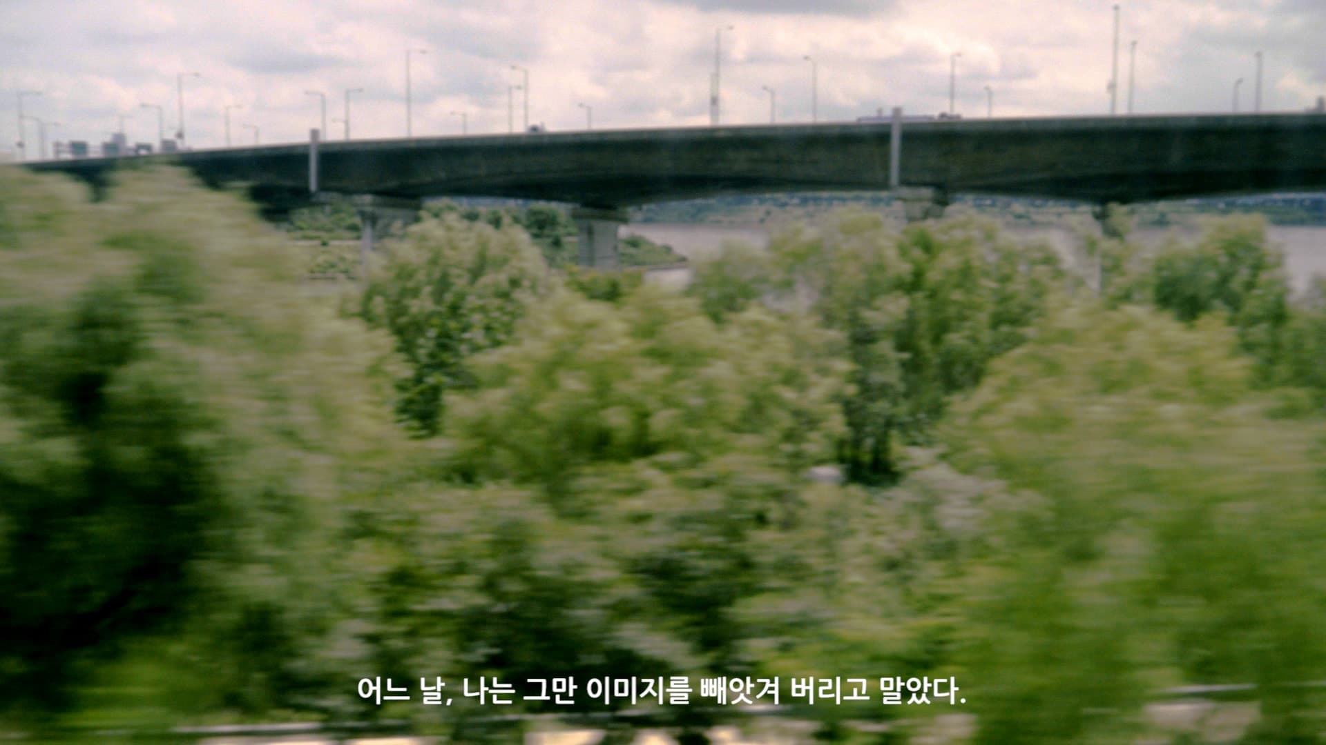 (c) 이다은