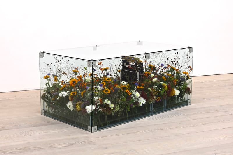 김상진, Air purifier  공기정화기, 생화, 물, 유리관, 160x100x80cm, 2011