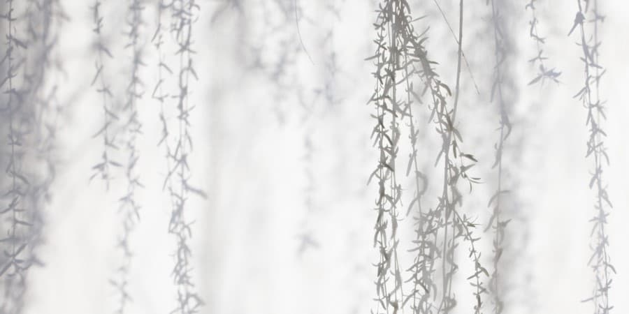 송미생. 80cm×40cm. Archival Pigment Print. 2016