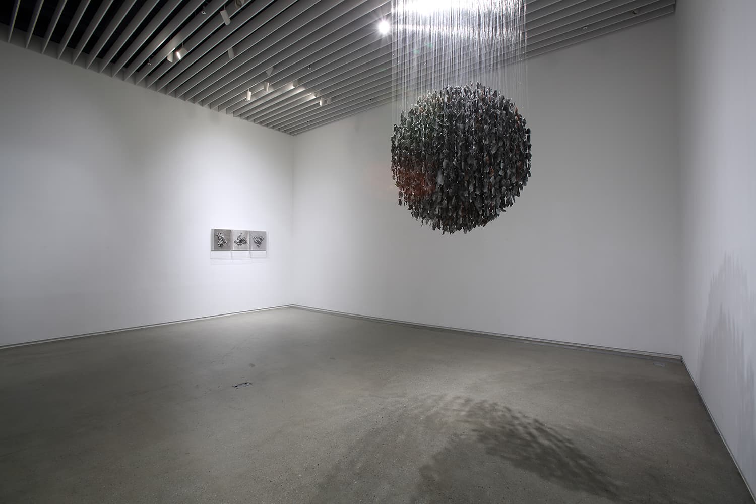 유당화 刘丹华 Liu Danhua : Ashs 2