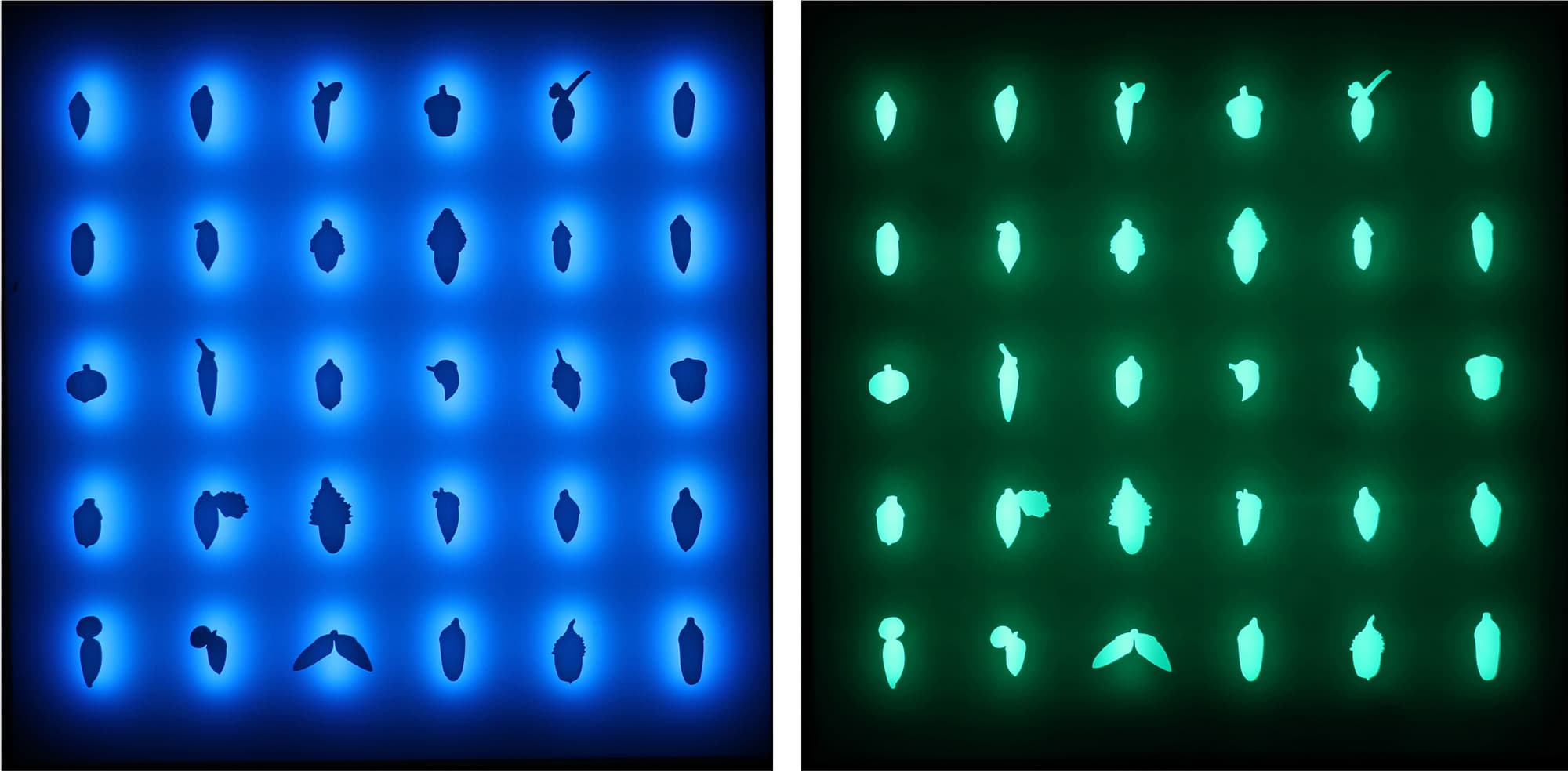 이지희,<Counterpoint 1> 일부  61 x 61 cm (4pieces), LED, 2019