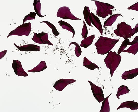 구본창, DF 5-01, 1996, archival pigment print, 96x120cm