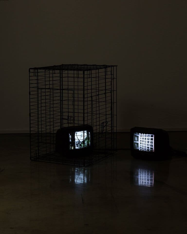 손광주, 자유부인, 2016, 2-채널 비디오(비동기), 컬러, 사운드, 3분(반복재생)