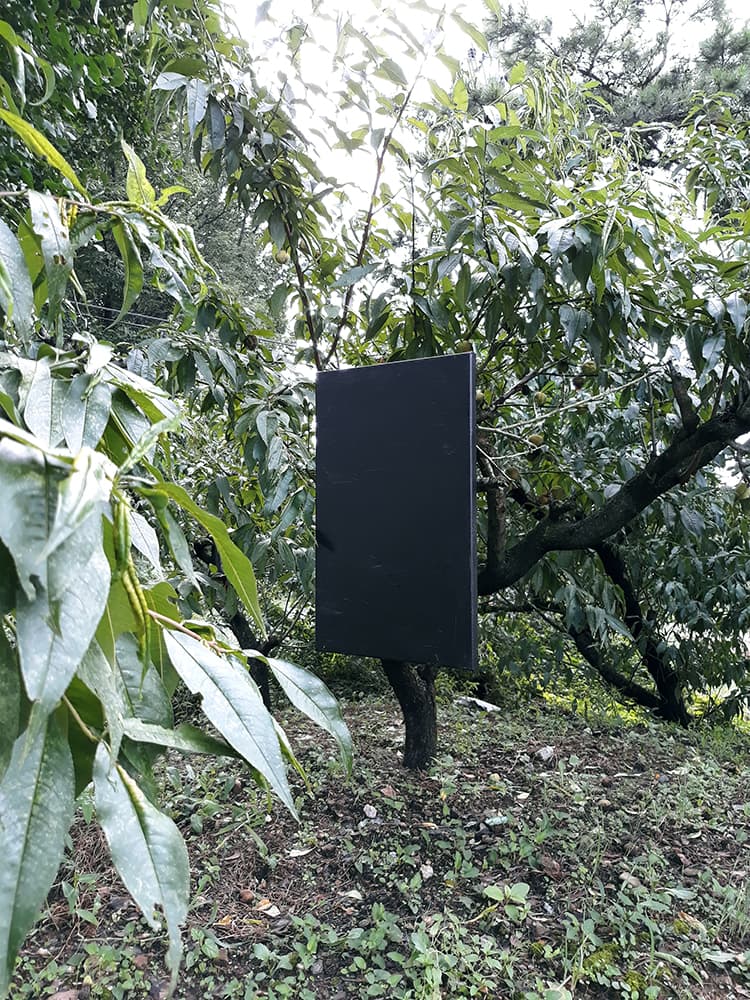 이재미 개인전 : Calls for a bush warbler 2