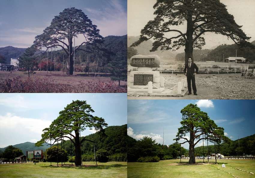 박정원 : 아버지의 사진첩 1