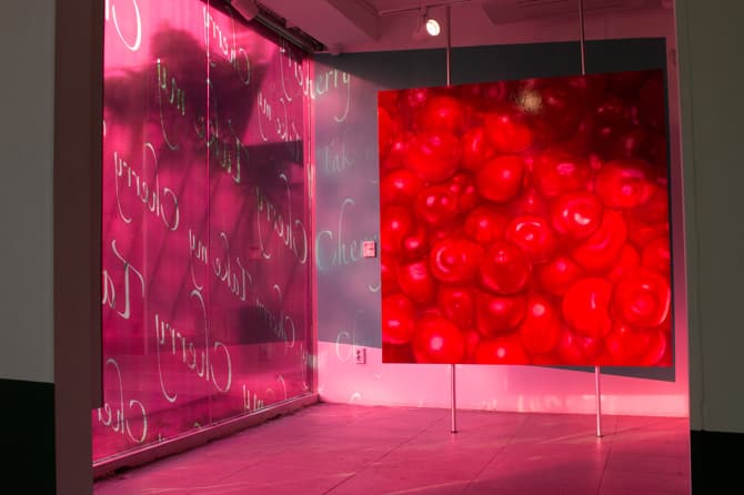 Installation View of Take My Cherry, Nak Beom Kho Solo Exhibition, Corner Art Space
