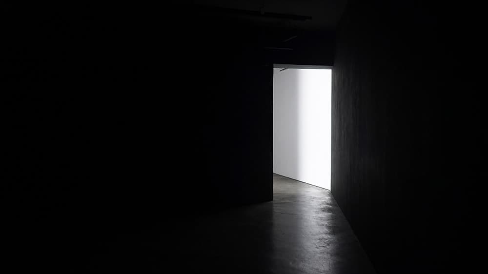 전시전경