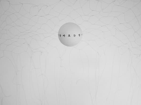 <Ping-係(핑-계)>_머리카락,탁구공,레터링_가변설치_2017