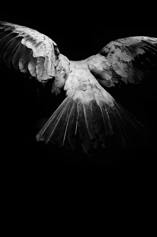 (c) Léa Habourdin