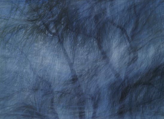 고은정_There are trees in the winter air, acrylic on canvas,61x73cm, 2014