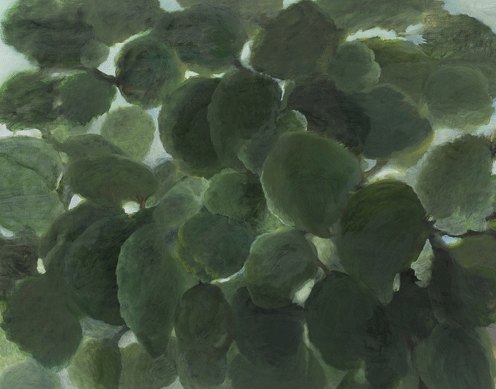 나무그림자 , oil on canvas, 91x116.8cm , 2014  