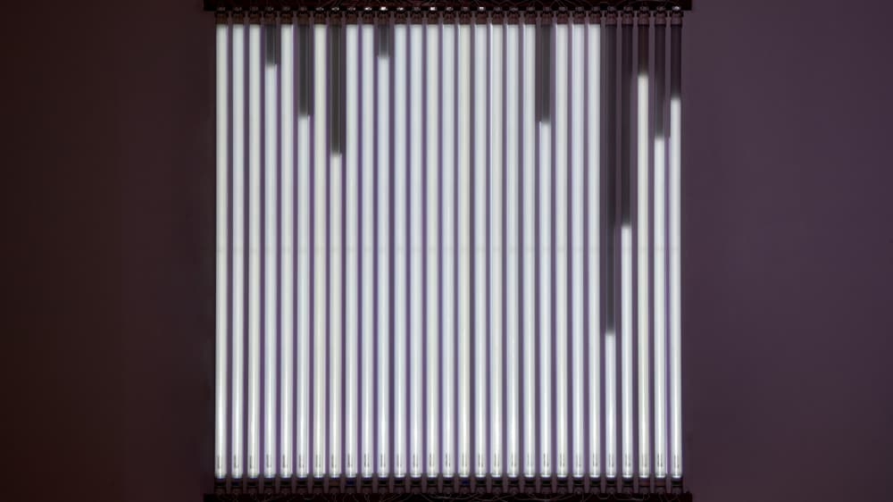 조해나, 선팽창 fluorescent lamps, 127×120㎝,  2020