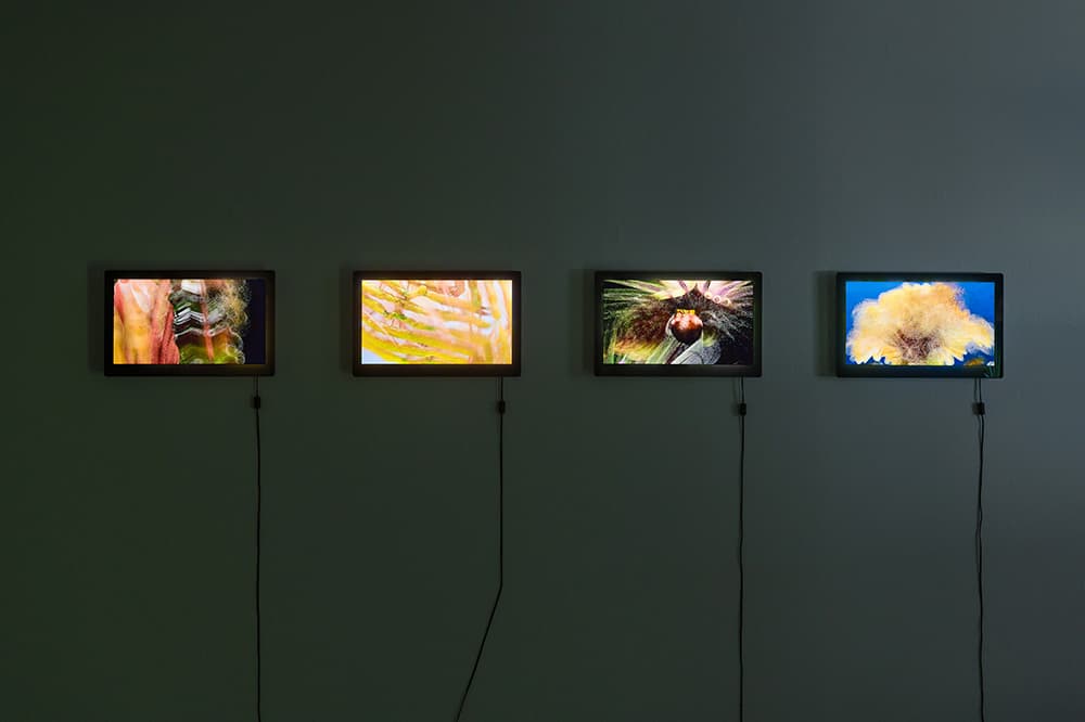 Uljiro Kim, Soil mixing, 2023_Photo (c)Jinsol Kim