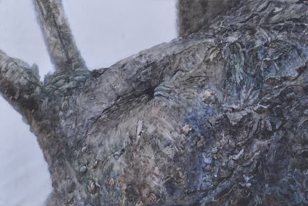 <나무>, 종이에 수채, 78.8x54.5cm, 2011