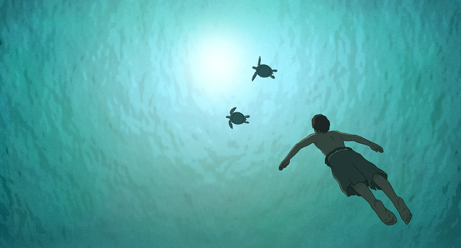 붉은 거북 The Red Turtle(La Tortue Rouge), 미카엘 두독 데 비트, 2016, 1:20:00