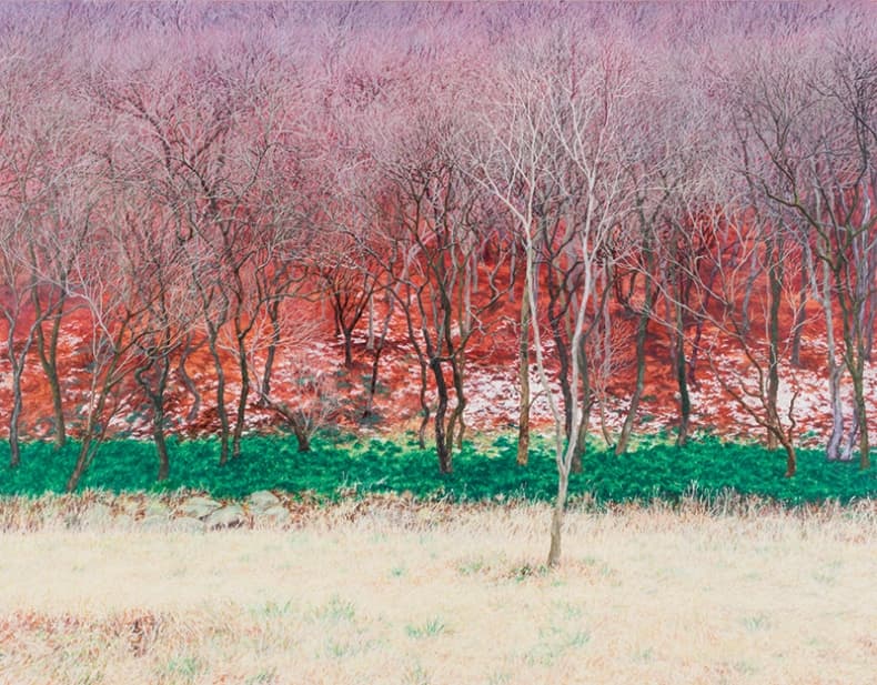 김현정, 숨소리를 따라서 Following the breath, 90.5x116.3cm, oil on canvas, 2014