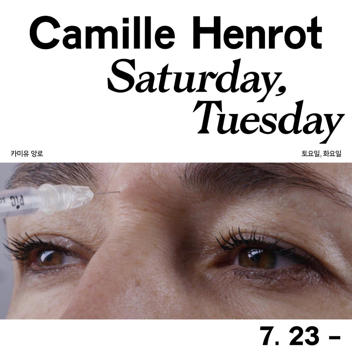 카미유 앙로 : 토요일, 화요일 Camille Henrot, Saturday, Tuesday 1