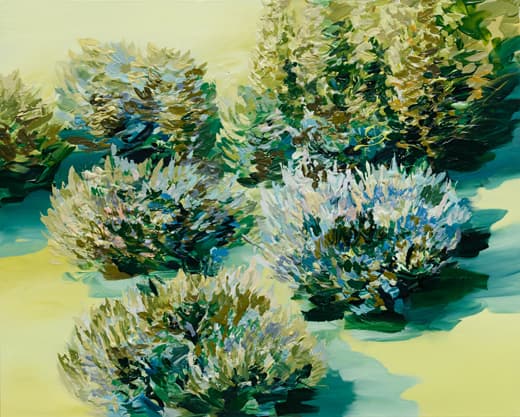 Grassland 1, Oil on canvas, 80.3x100.0cm, 2016