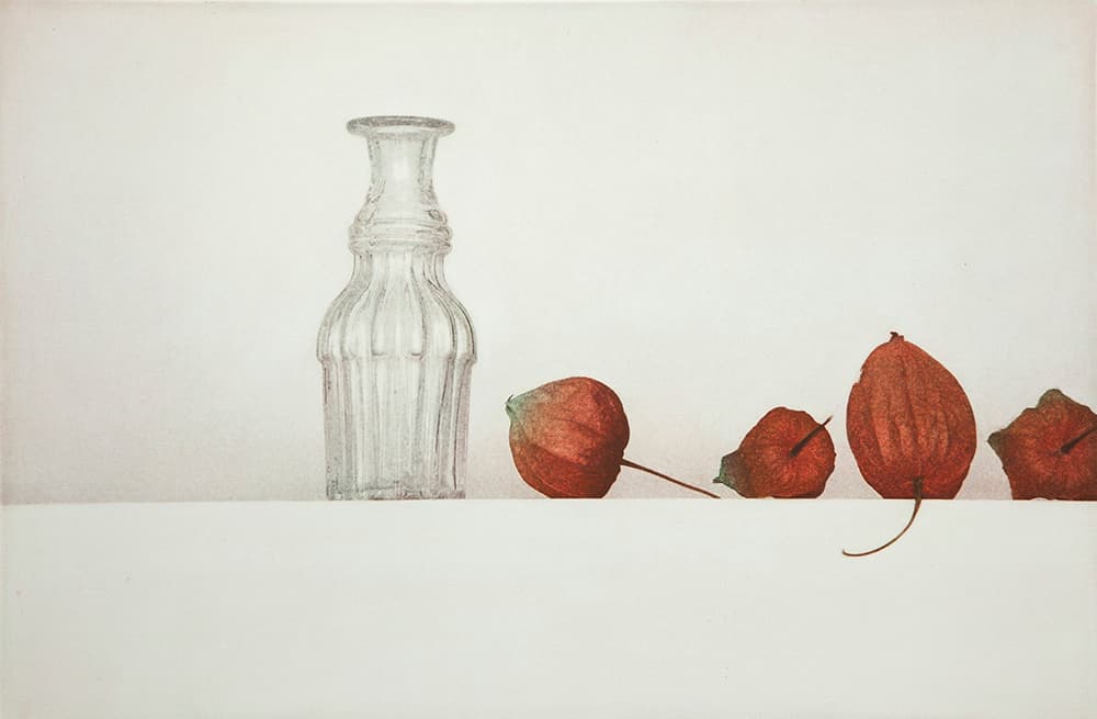 김수강, Bottle and ground cherries, 90 x 120cm, Gum Bichromate Print, 2012