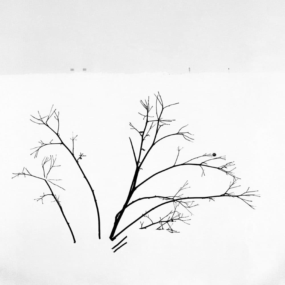 내게 온 풍경 #3_Gelatin Silver Print_26cmX26cm_2018