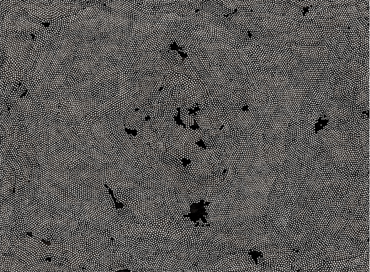 No.16_3_01, Chinese ink on paper, 76x56cm, 2016