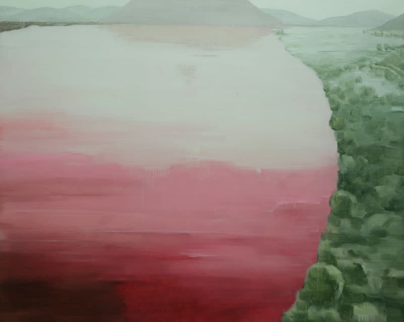 홍순명, La vie en rose 4대강-남한강 1, 캔버스에 오일, 130x162cm, 2016
